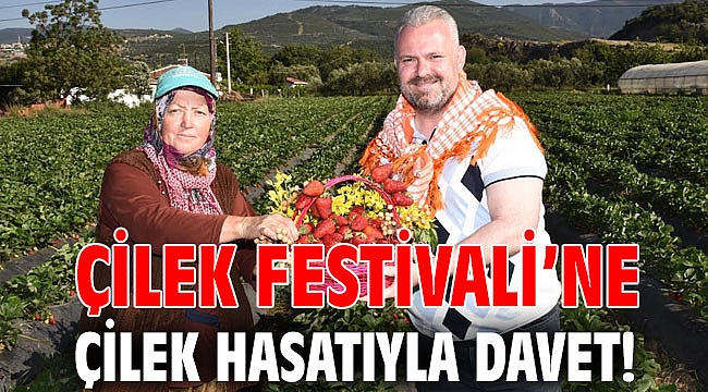 ÇİLEK FESTİVALİ’NE ÇİLEK HASATIYLA DAVET!