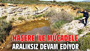 HAŞERE İLE MÜCADELE ARALIKSIZ DEVAM EDİYOR