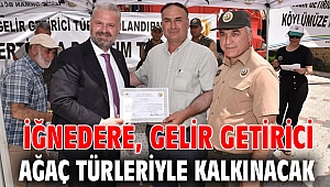 İĞNEDERE, GELİR GETİRİCİ AĞAÇ TÜRLERİYLE KALKINACAK