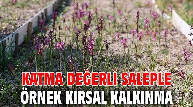 Katma değerli saleple örnek kırsal kalkınma