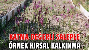 Katma değerli saleple örnek kırsal kalkınma