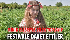 Minik elleriyle çilek toplayıp festivale davet ettiler