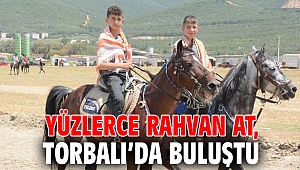Yüzlerce Rahvan At, Torbalı’da buluştu