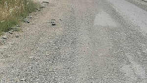 AK Partili Avcı: ‘’Karaburun’da belediyenin adı var, hizmet edecek yönetimi yok!