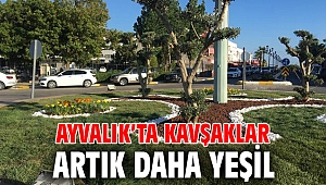 AYVALIK’TA KAVŞAKLAR ARTIK DAHA YEŞİL
