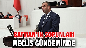 BATMAN’IN SORUNLARI MECLİS GÜNDEMİNDE