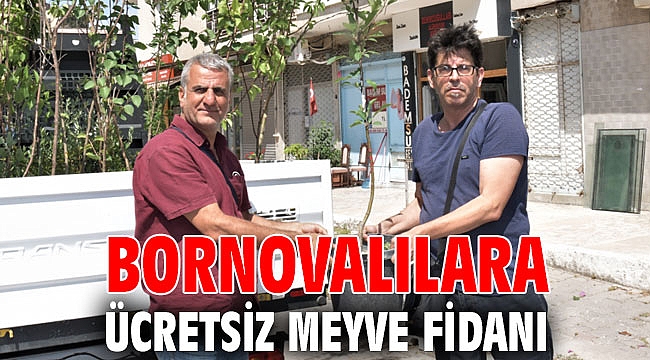 Bornovalılara ücretsiz meyve fidanı