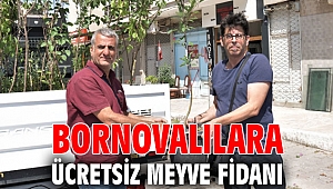 Bornovalılara ücretsiz meyve fidanı