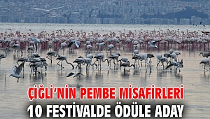 Çiğli’nin Pembe Misafirleri 10 Festivalde Ödüle Aday