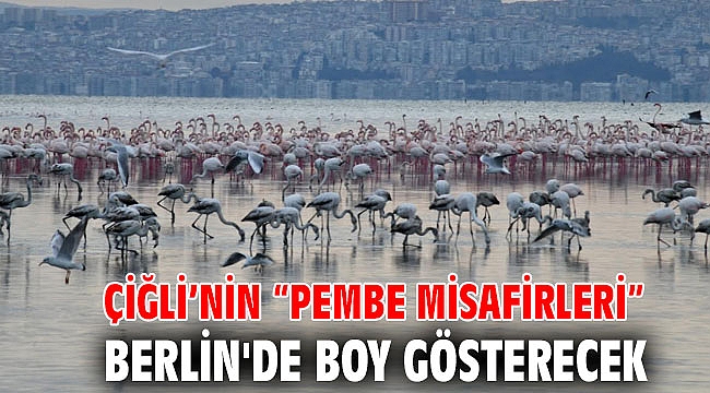 Çiğli’nin “Pembe Misafirleri” Berlin'de Boy Gösterecek