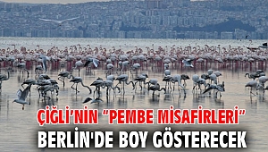 Çiğli’nin “Pembe Misafirleri” Berlin'de Boy Gösterecek