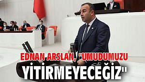 Ednan Arslan, 