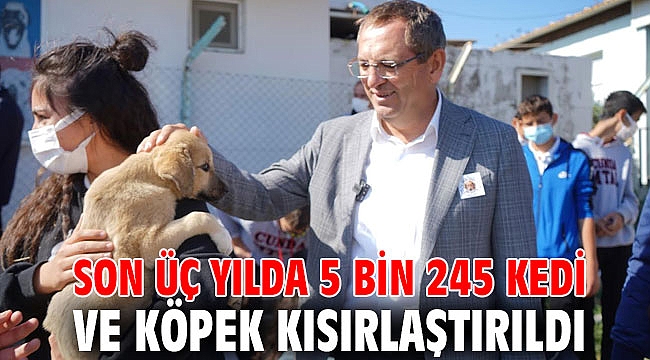 SON ÜÇ YILDA 5 BİN 245 KEDİ VE KÖPEK KISIRLAŞTIRILDI