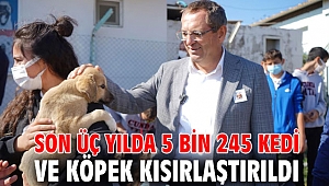  SON ÜÇ YILDA 5 BİN 245 KEDİ VE KÖPEK KISIRLAŞTIRILDI