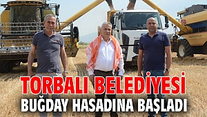 Torbalı Belediyesi buğday hasadına başladı