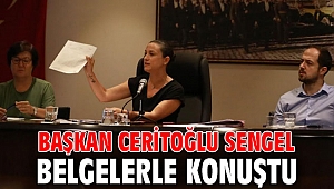 BAŞKAN CERİTOĞLU SENGEL BELGELERLE KONUŞTU