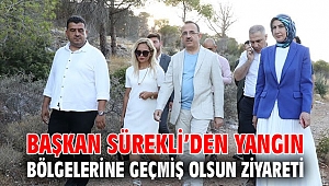 Başkan Sürekli’den yangın bölgelerine geçmiş olsun ziyareti
