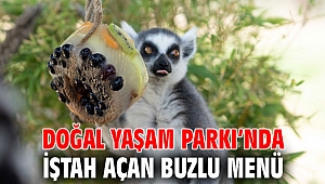 Doğal Yaşam Parkı’nda iştah açan buzlu menü