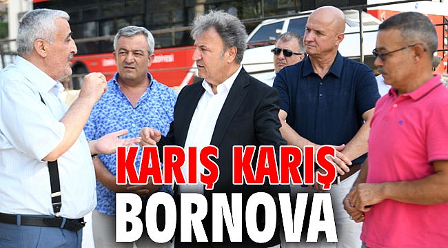 Karış karış Bornova