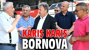 Karış karış Bornova