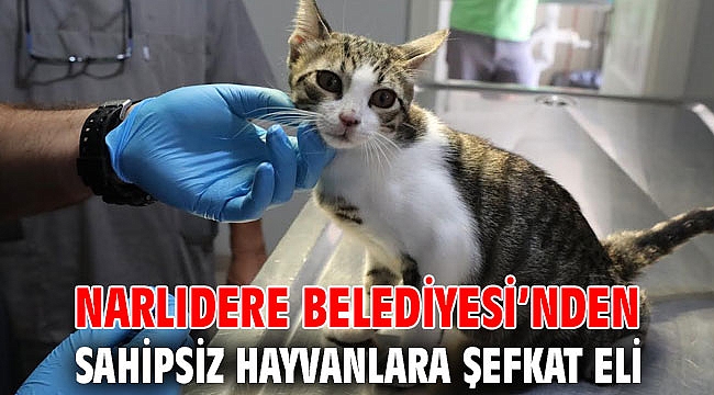 NARLIDERE BELEDİYESİ’NDEN SAHİPSİZ HAYVANLARA ŞEFKAT ELİ