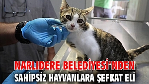 NARLIDERE BELEDİYESİ’NDEN SAHİPSİZ HAYVANLARA ŞEFKAT ELİ 