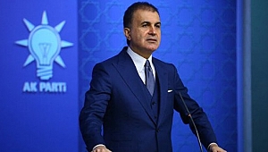 Ömer Çelik, 