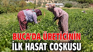 Buca’da üreticinin ilk hasat coşkusu