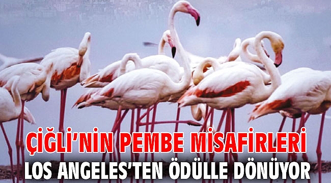 Çiğli’nin Pembe Misafirleri Los Angeles’ten Ödülle Dönüyor