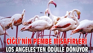 Çiğli’nin Pembe Misafirleri Los Angeles’ten Ödülle Dönüyor
