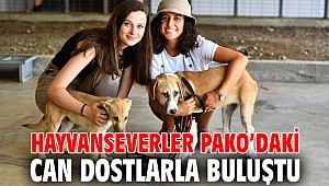 Hayvanseverler Pako’daki can dostlarla buluştu
