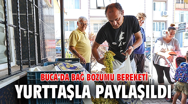 Bağcılık kültürü canlanıyor, sofralar şenleniyor