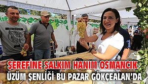 ŞEREFİNE SALKIM HANIM OSMANCIK ÜZÜM ŞENLİĞİ BU PAZAR GÖKÇEALAN’DA