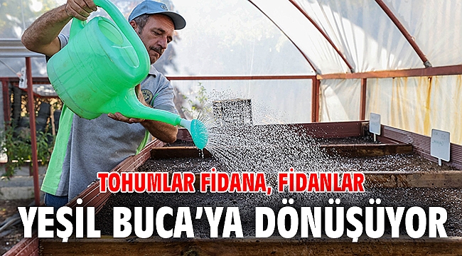 Tohumlar fidana, fidanlar yeşil Buca’ya dönüşüyor