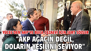 “AKP AĞACIN DEĞİL, DOLARIN YEŞİLİNİ SEVİYOR”