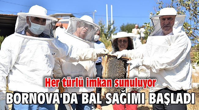 Bornova'da bal sağımı başladı