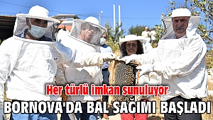 Bornova'da bal sağımı başladı