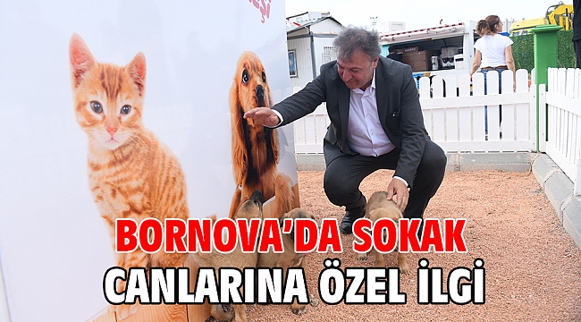 Bornova’da sokak canlarına özel ilgi