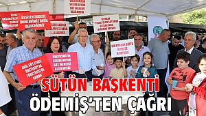 Sütün başkenti Ödemiş'ten çağrı var