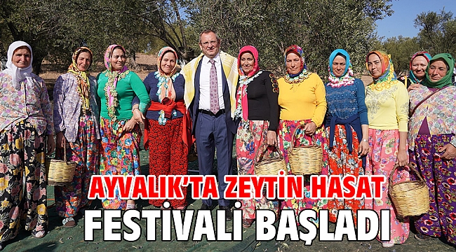 Ayvalık’ta Zeytin Hasat Festivali Başladı