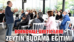 Bornovalı üreticilere zeytin budama eğitimi