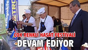 Çok Renkli Hasat Festivali devam ediyor
