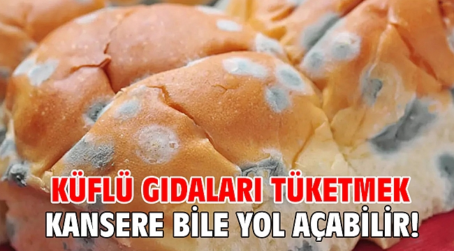 Küflü gıdaları tüketmek kansere bile yol açabilir!