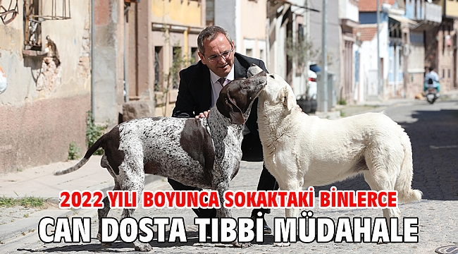 2022 YILI BOYUNCA SOKAKTAKİ BİNLERCE CAN DOSTA TIBBİ MÜDAHALE