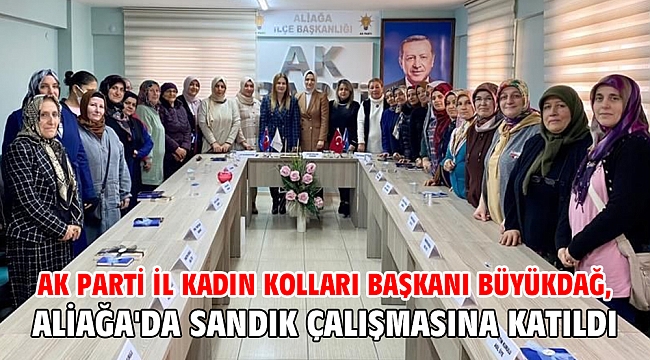 AK Parti İl Kadın Kolları Başkanı Büyükdağ, Aliağa'da sandık çalışmasına katıldı