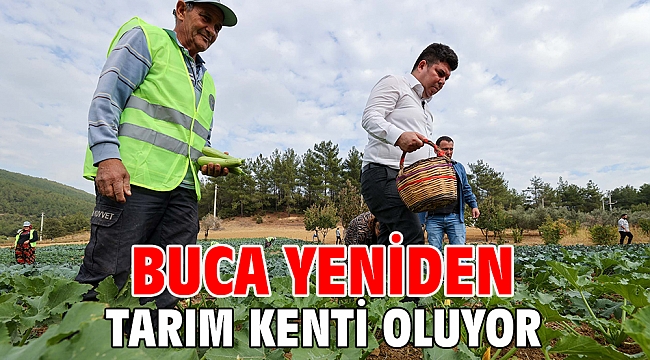 Buca yeniden tarım kenti oluyor