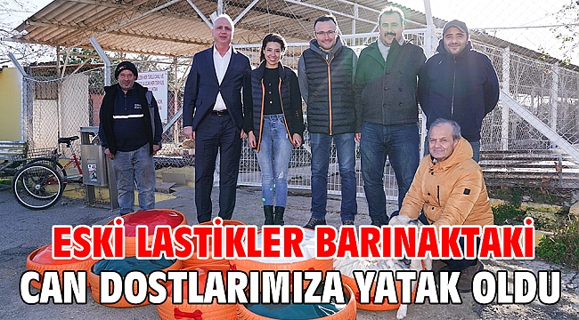 Eski Lastikler barınaktaki can dostlarımıza yatak oldu