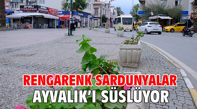 RENGARENK SARDUNYALAR AYVALIK’I SÜSLÜYOR