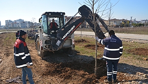 Torbalı Belediyesi yeşile doymuyor