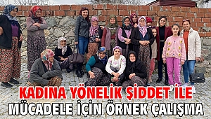 Kadına yönelik şiddet ile mücadele için örnek çalışma